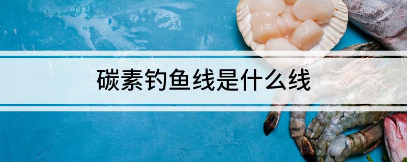 碳素钓鱼线是什么线(图1)