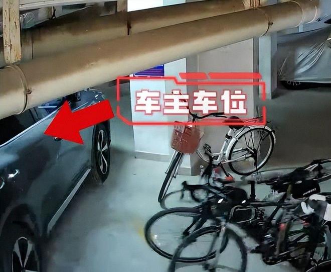 女子推倒自行车后续：已立案车损报价比电车贵女子回应太霸道(图4)