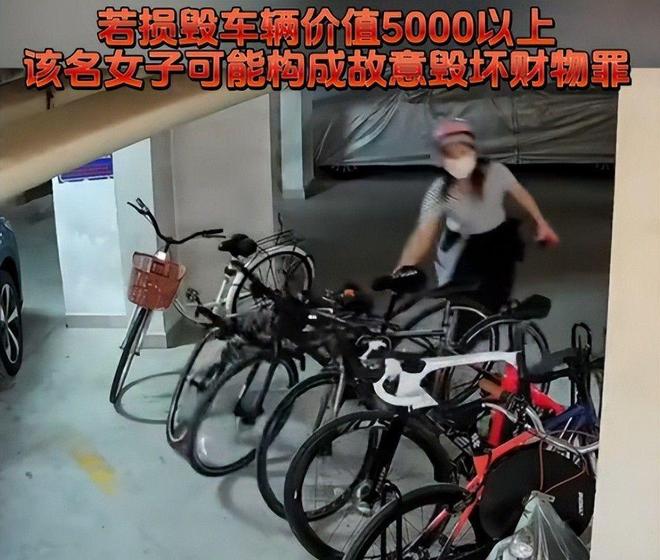 女子推倒自行车后续：已立案车损报价比电车贵女子回应太霸道(图11)