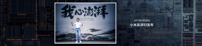 雷军：你只管努力其他的交给天意(图6)