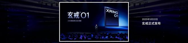 雷军：你只管努力其他的交给天意(图9)