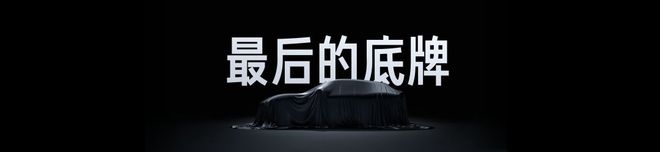 雷军：你只管努力其他的交给天意(图13)