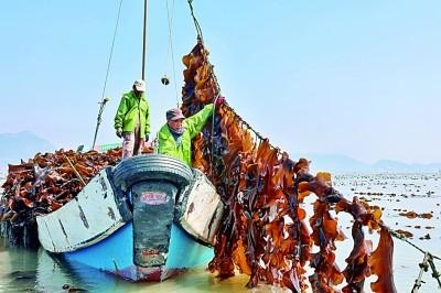 头条_石狮市融媒体中心(图2)