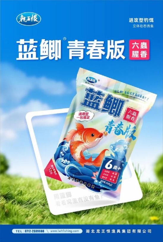 市场地位声明：龙王恨钓鱼饵全国销量第一(图3)