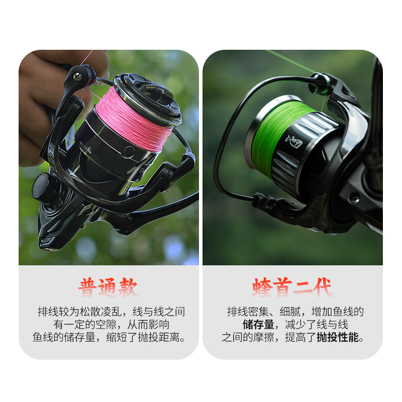 鱼线什么档次最旺(图1)