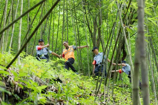 【一线传真】重庆公安构建生态警务新机制筑牢巴渝生态安全屏障(图1)