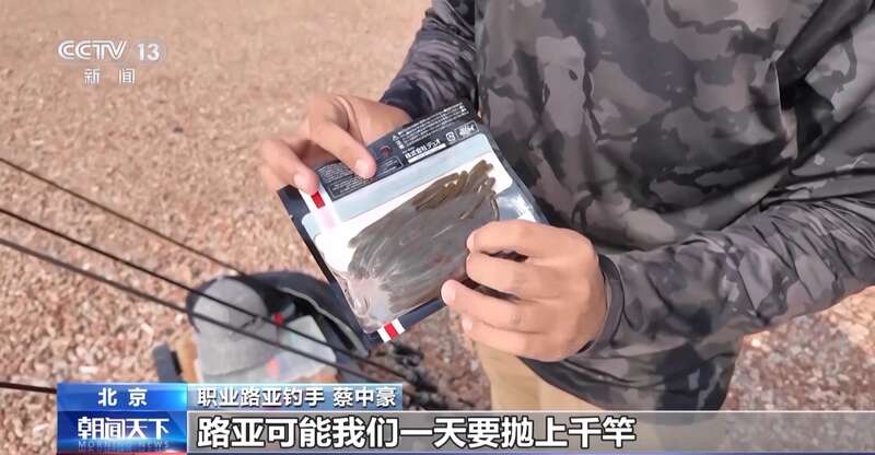 不用真饵、钓完就放新钓法路亚钓圈粉年轻人(图3)