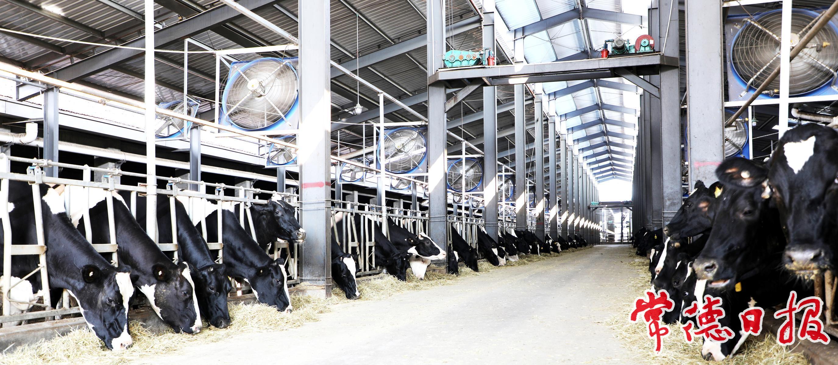 常德畜牧水产业绘就高质量发展新图景(图1)