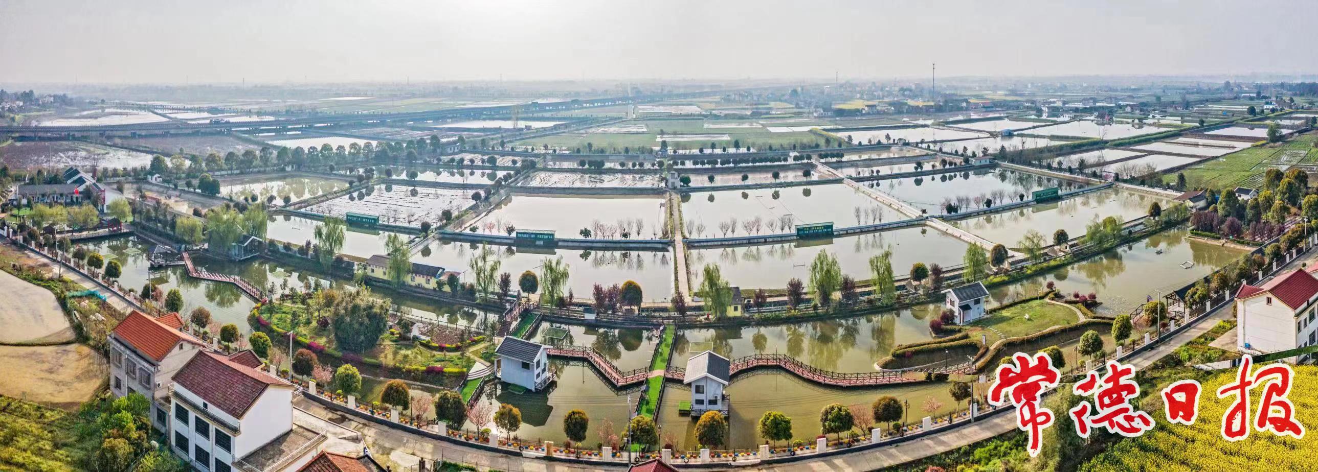 常德畜牧水产业绘就高质量发展新图景(图3)