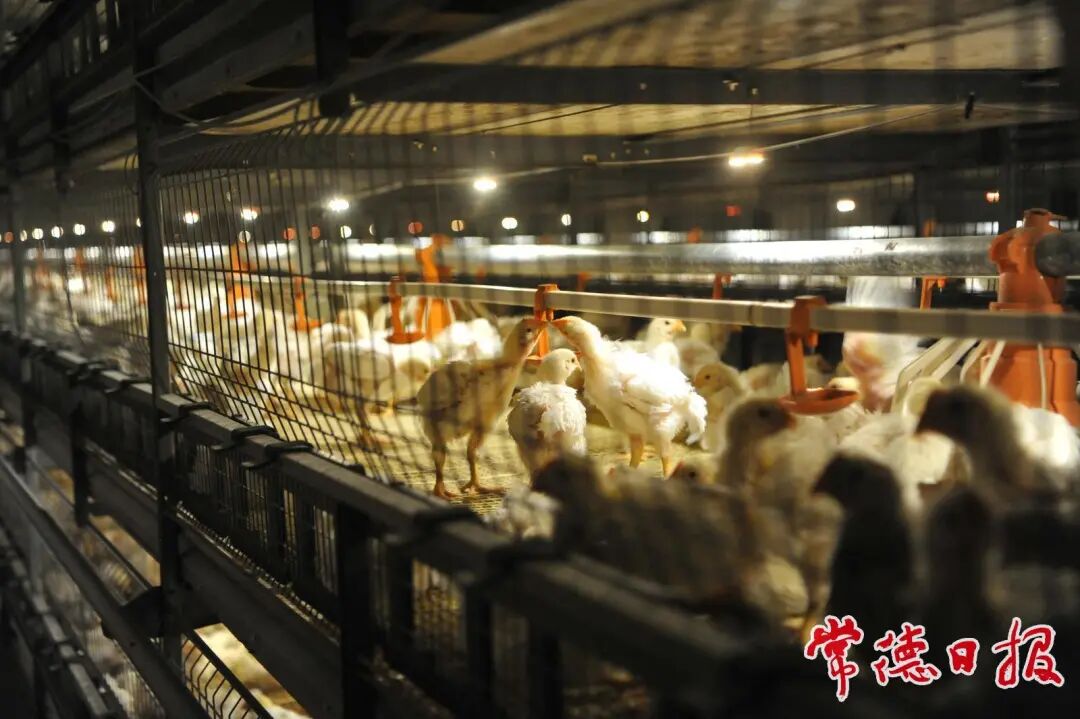 常德交出“十四五”硬核答卷⑥：绘就高质量发展新图景(图2)