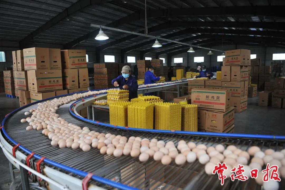 常德交出“十四五”硬核答卷⑥：绘就高质量发展新图景(图4)