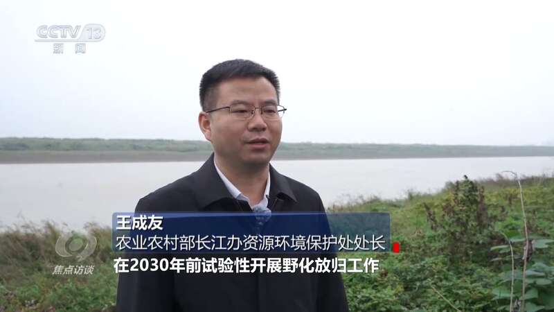 推进长江生态保护工作留住江豚的“微笑”(图5)