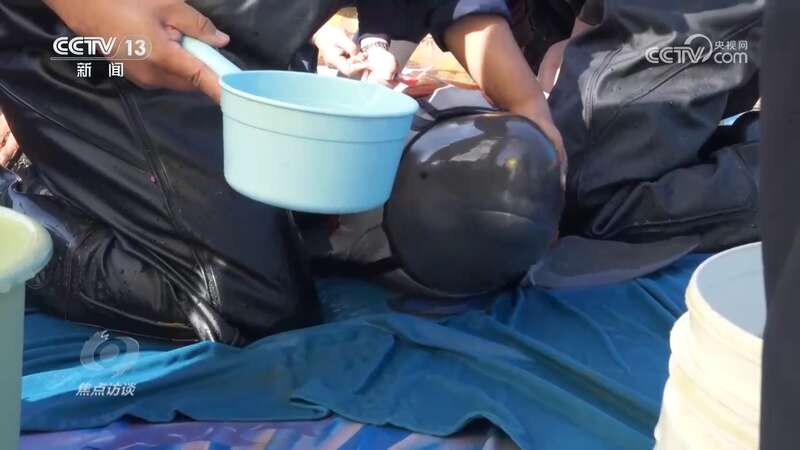 推进长江生态保护工作留住江豚的“微笑”(图1)