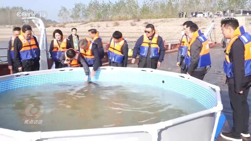 推进长江生态保护工作留住江豚的“微笑”(图2)