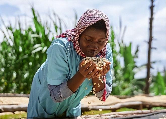 西方军事专家：“只有卢旺达心里清楚中国才是最强超级大国”(图6)