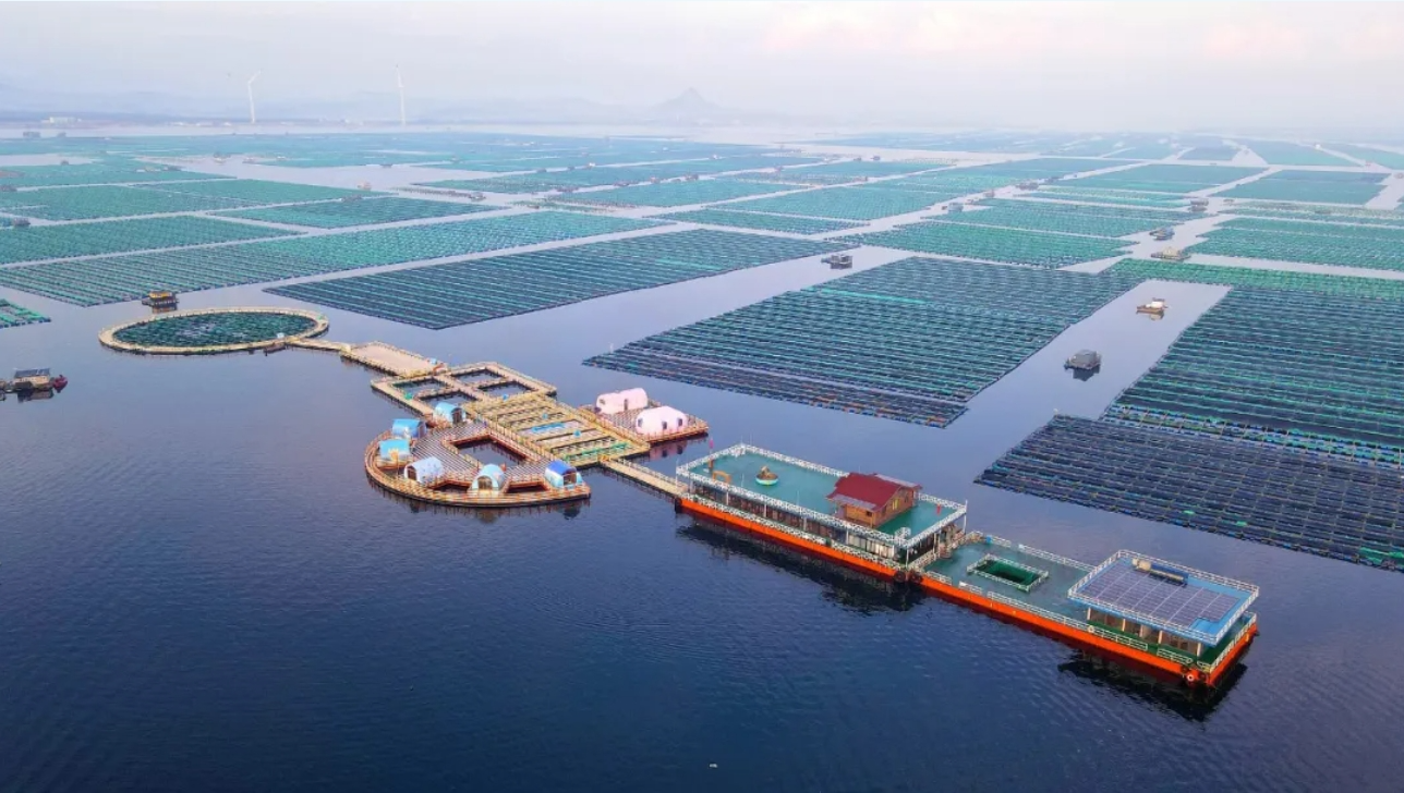 向海图强何以成势？(图2)