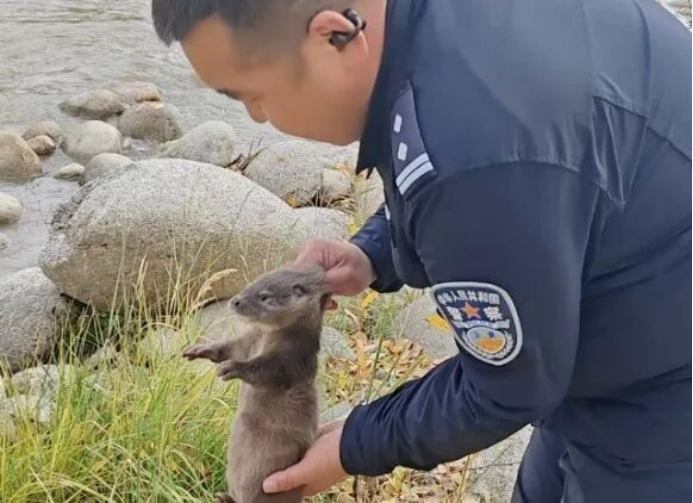 新疆维吾尔自治区公安厅(图2)