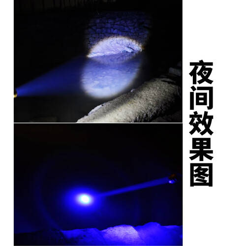 夜钓必备俱竞阳钓鱼灯让你的夜晚更精彩！(图1)