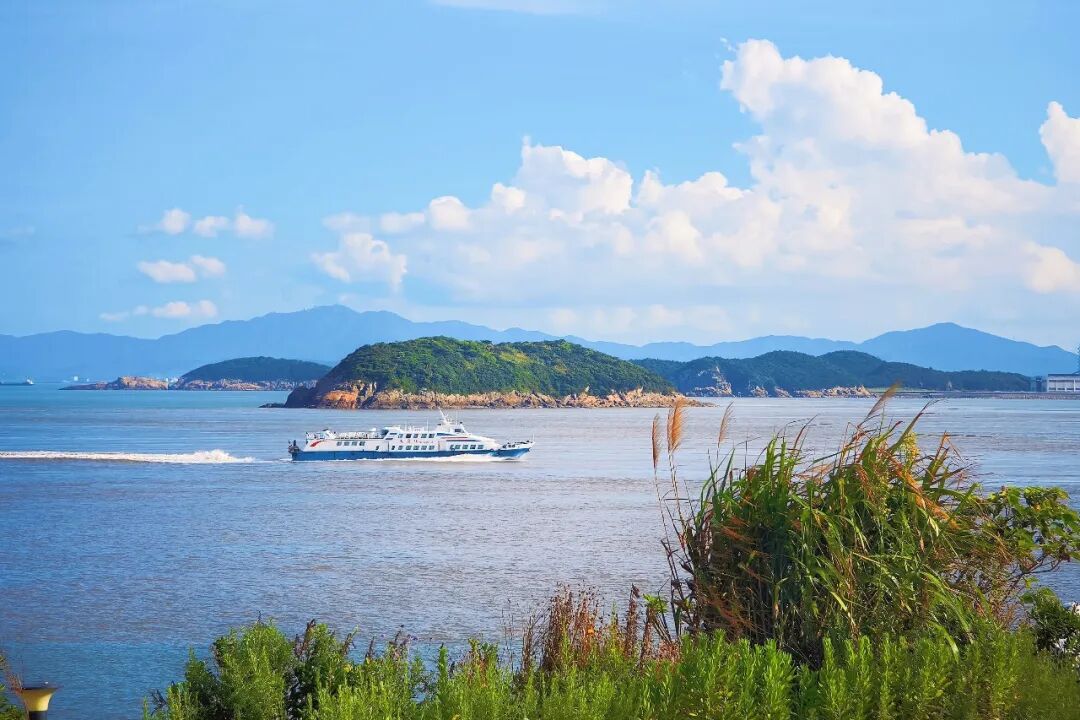 海鸟翩跹渔船往复渔业向好