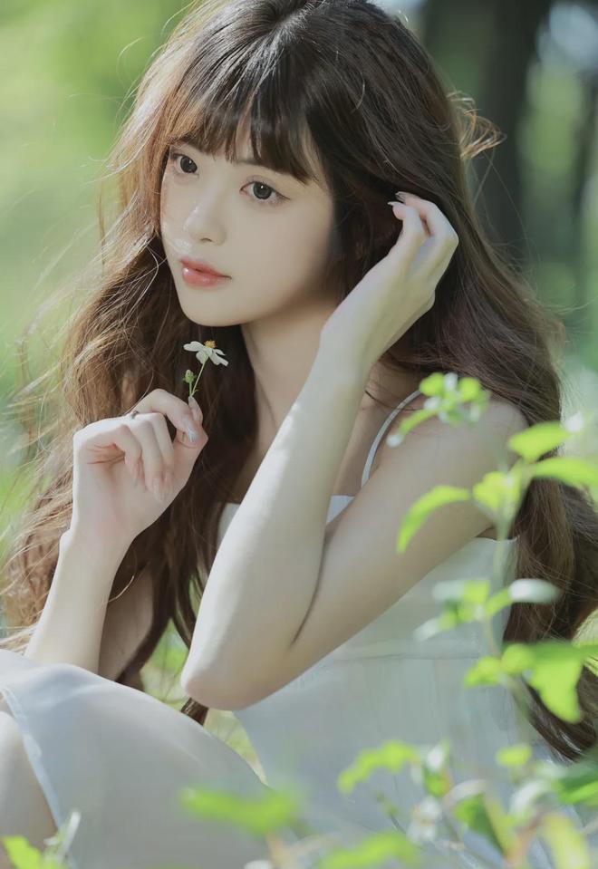 欧美一级αv视频免费看